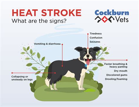Heatstroke