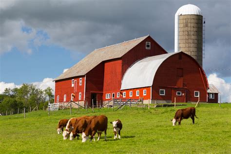farm animal housing