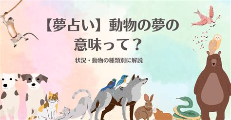 夢占い