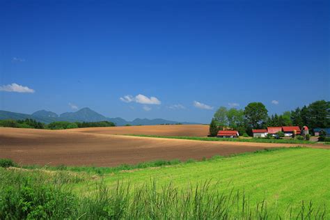 穏やかな農場の風景