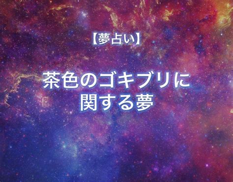 茶 囲 夢	Commercial