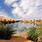 奥巴里 湖 利比亚 沙漠