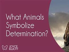 determination of animals