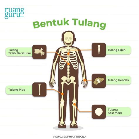 Tulang dan otot