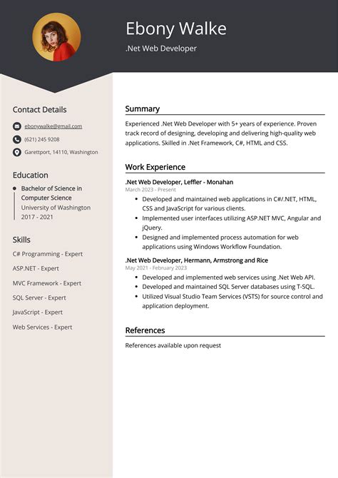 .net developer cv examples