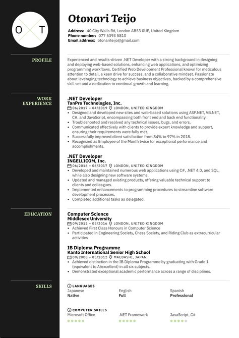 .net developer resume sample