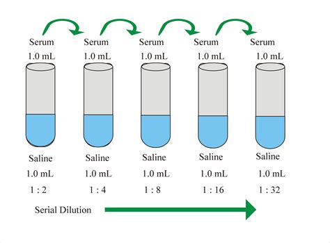 1 to 5 Serial Dilution