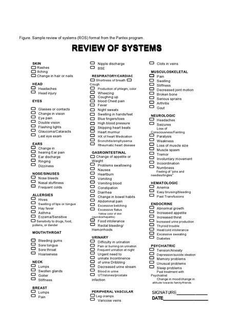 10 Point Review Of Systems Template
