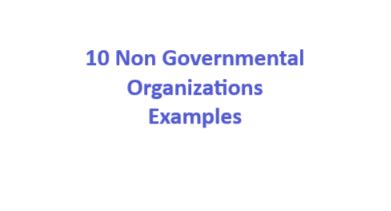 10 examples of international non governmental organizations in the world