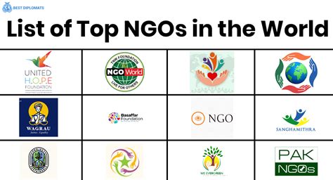 10 examples of non governmental organization