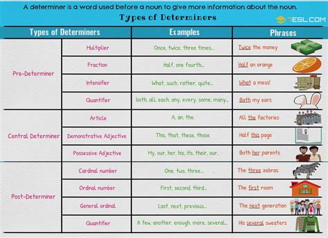 10 examples of pre determiners