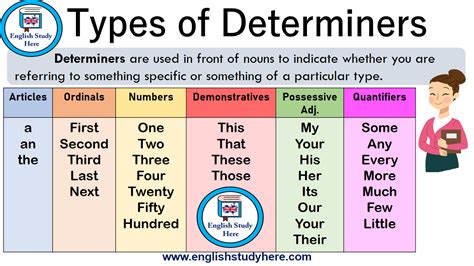 10 examples of quantifiers determiners