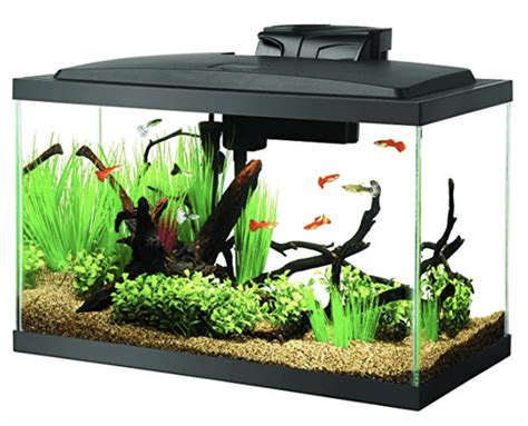 10-gallon fish tank