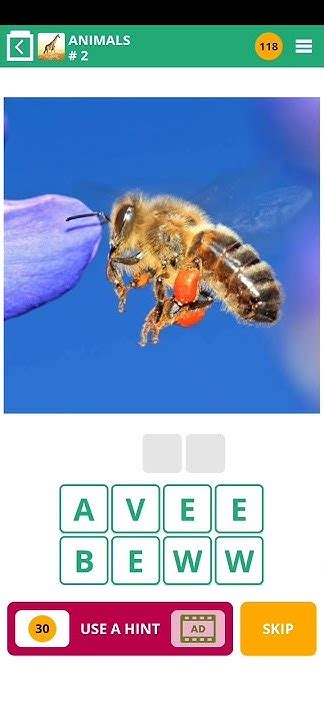 100 Pics Walkthrough Animals