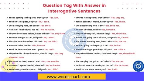100 question tag examples with answers for class 7