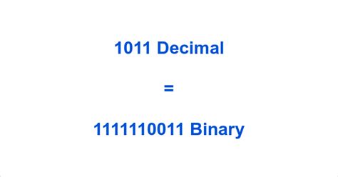 1011 binary meaning