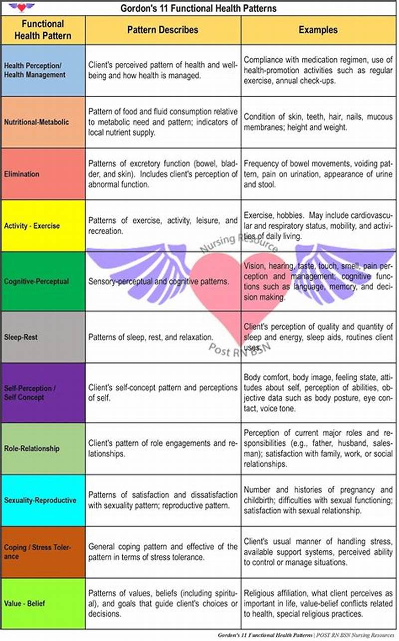 11 Gordon S Functional Health Pattern Example
