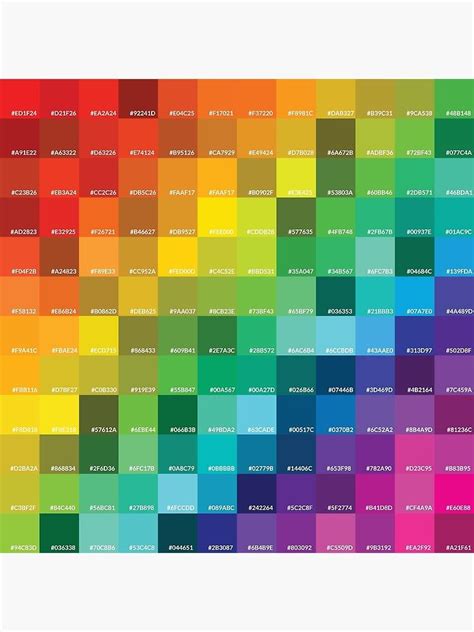 12 color rainbow hex code