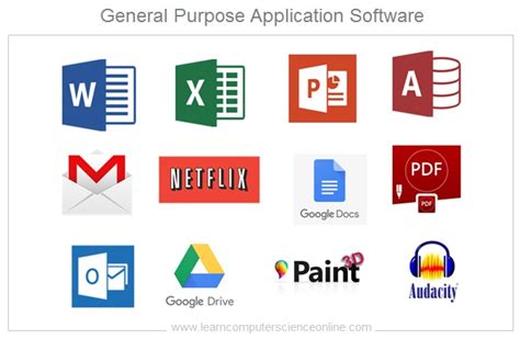 12 name 4 examples of application software