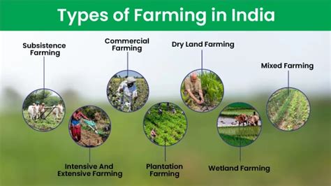 12 types of farming with examples pdf