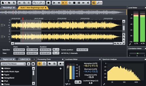 18 which software is commonly used for editing audio in multimedia