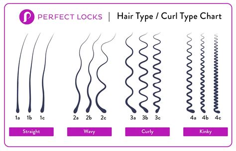 1a Hair Chart