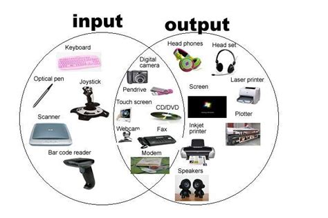 2 examples of input and output devices