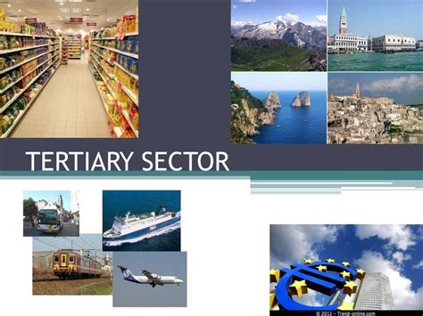 2 examples of tertiary sector