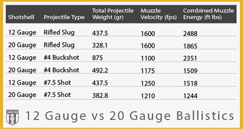 20 Gauge Slug Ballistics Chart