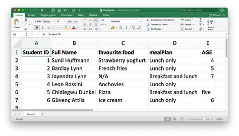 20 examples of spreadsheet for students