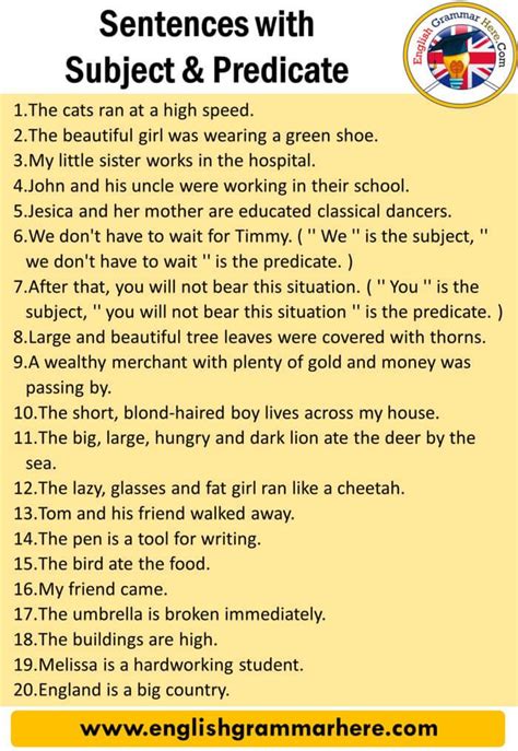 20 examples of subject and predicate