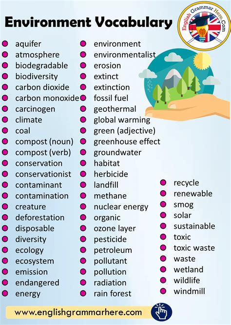20 words from environment with meaning