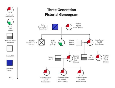 3 Generation Genogram Template