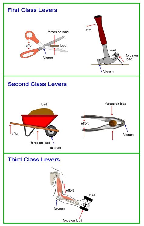 3 examples of a lever simple machine