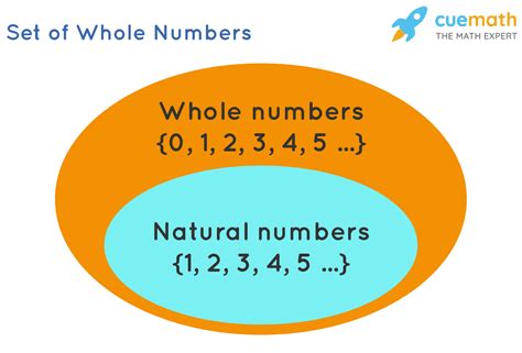 3 examples of whole numbers