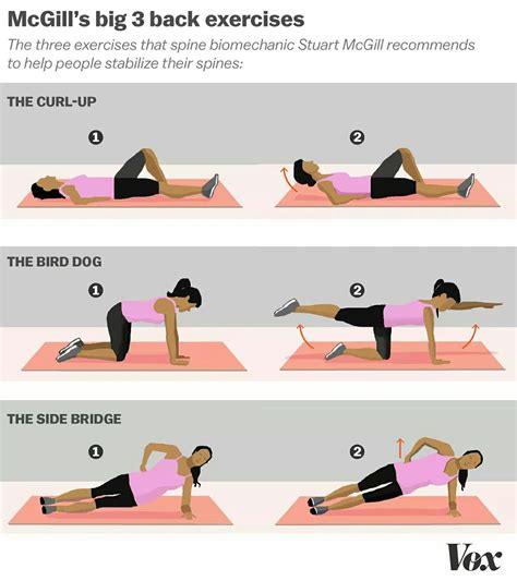 3 major back exercises