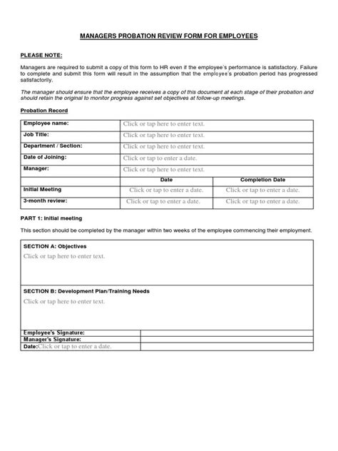 30 Day Probationary Period Template