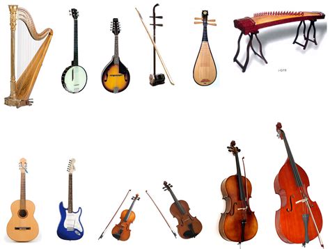 4 string instruments list with pictures