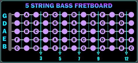 5 String Bass Fingerboard Chart