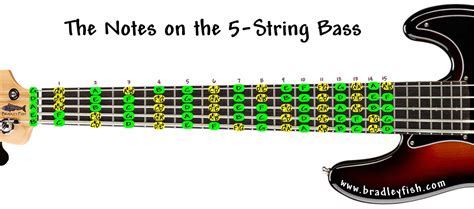 5 String