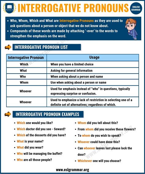 5 examples of interrogative pronoun in sentence