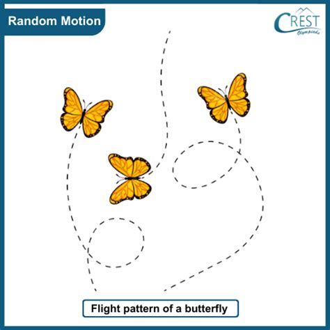 5 examples of random motion