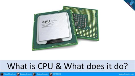 5 what is the role of a computer's processor