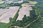 50 Acres for Sale Near Me