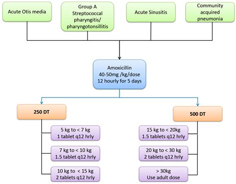 500mg Amoxicillin Dosage Chart