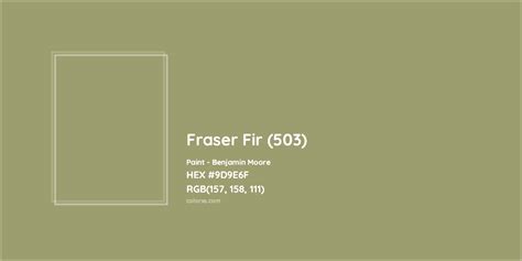 503 paint code