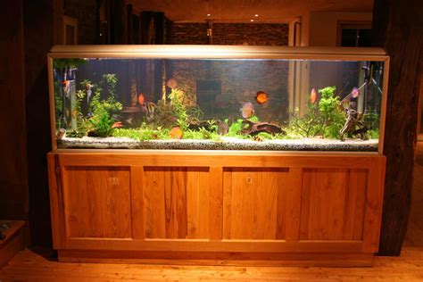 Factors to Consider when Choosing a 55-Gallon Fish Tank