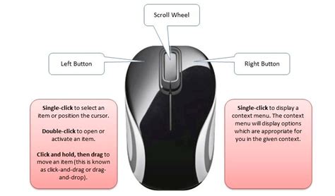6 what is the primary function of the left button on a computer mouse