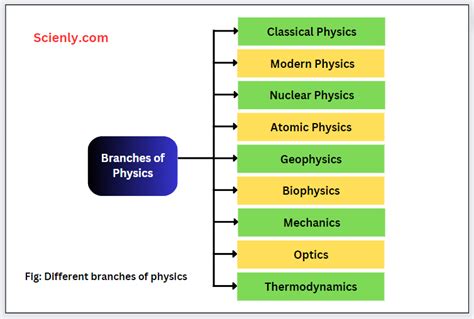 7 branches of physics and their definition