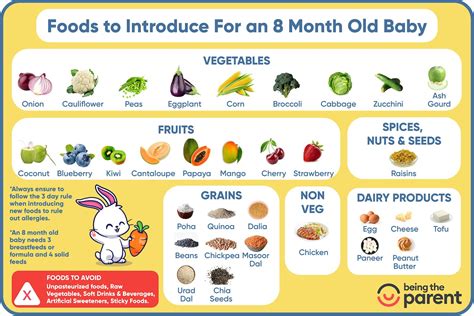 8 Months Baby Food Chart